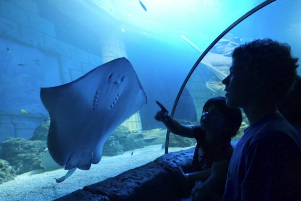 🌊 Sea Life Porto : Plongée au Cœur de l'Océan