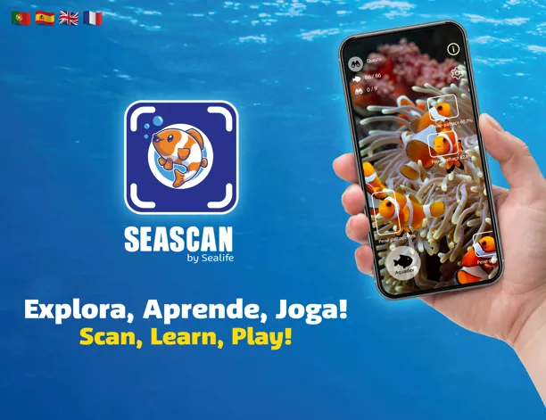 🌊 Pourquoi visiter le SEA LIFE Porto ? Le guide ultime